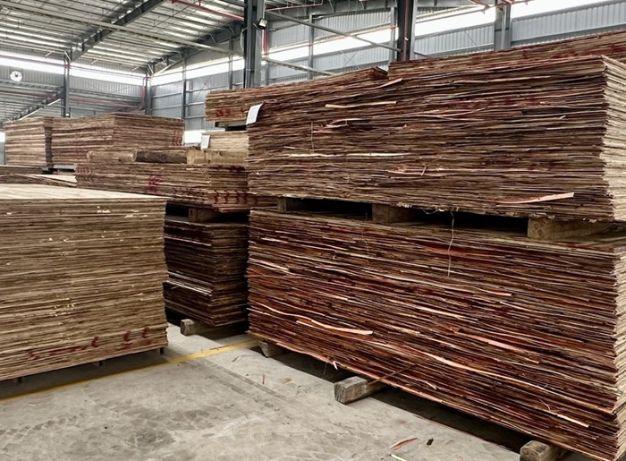 Đơn hàng xuất khẩu 3 container gỗ dán sang thị trường Hàn Quốc